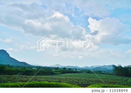 Mountain View of Hua Hin, Thailand 31038849