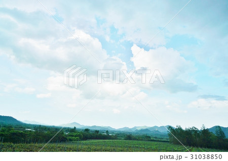 タイ王国フワヒン、ホアヒン、ファヒンの景色 タイ王国フワヒン、ホアヒン、ファヒンの景色 31038850