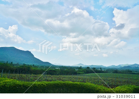 Mountain View of Hua Hin, Thailand Mountain View of Hua Hin, Thailand 31039011