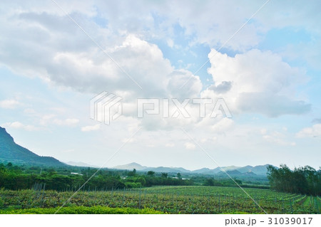 Mountain View of Hua Hin, Thailand Mountain View of Hua Hin, Thailand 31039017