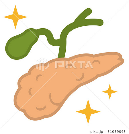 膵臓と胆嚢 31039043