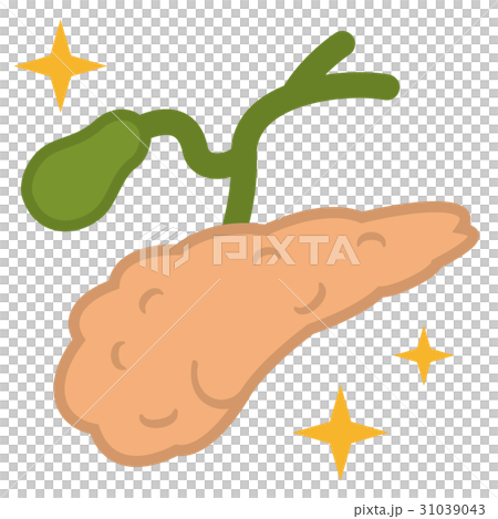 膵臓と胆嚢 31039043