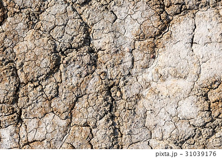 水分不足　肌荒れイメージ 31039176