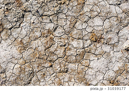 水分不足　肌荒れイメージ 31039177