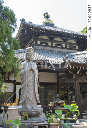 ハスと観世音菩薩像で知られる宗延寺（東京都杉並区） 31040955