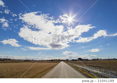 雲と太陽と道 31041189