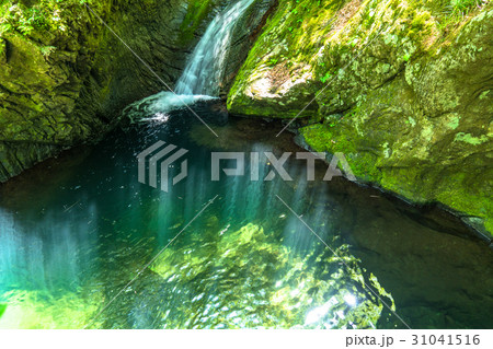 渓谷の泉 渓谷の泉 31041516
