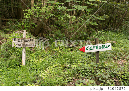 叶岳の登山道への入り口 31042872