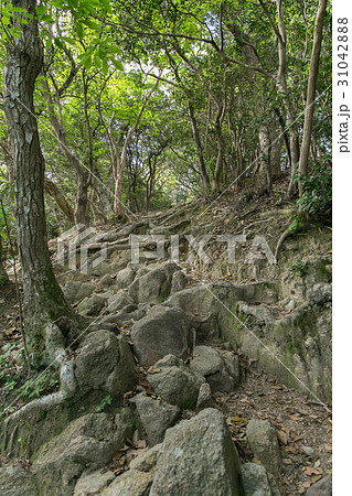 叶岳の岩道 31042888