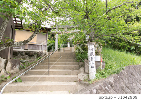 叶岳登山道への入り口 叶岳登山道への入り口 31042909