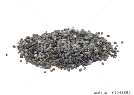 金魚の砂利 白バック 金魚の砂利 白バック 31048899