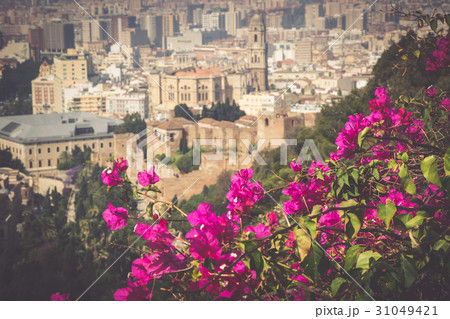 Panorama of Malaga, Spain 31049421