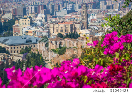 Panorama of Malaga, Spain Panorama of Malaga, Spain 31049423