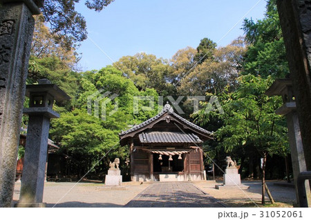 五所八幡宮(福岡県古賀市) 五所八幡宮(福岡県古賀市) 31052061