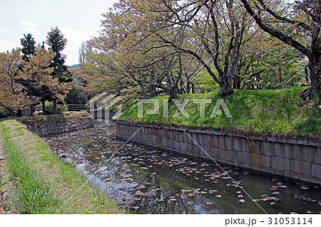 龍岡城五稜郭 龍岡城五稜郭 31053114