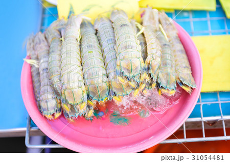 Fresh Mantis shrimp or Stomatopods in fish market 31054481
