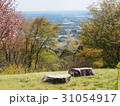 愛宕山 31054917