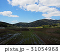田んぼ 31054968