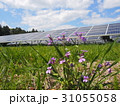 太陽光発電 31055058