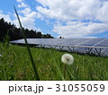 太陽光発電 31055059