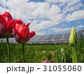 太陽光発電 31055060