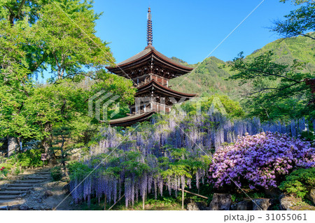 前山寺三重塔 前山寺三重塔 31055061