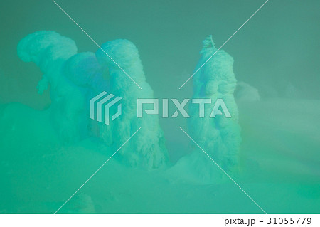 Light up of Snow monsters at Zao Mountain , Japan. . Light up of Snow monsters at Zao Mountain , Japan. . 31055779