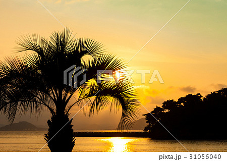 小戸公園の夕日 31056040