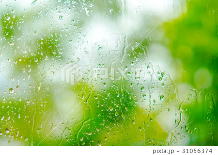 Water drops on green background . 31056374