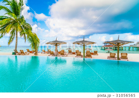 Swimming pool bar in tropical Maldives island . Swimming pool bar in tropical Maldives island . 31056565