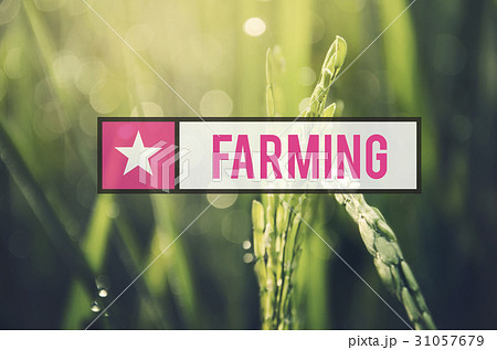 Alternative Farming Sustainable Nature Concept 31057679