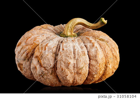 yellow pumpkin on black background. yellow pumpkin on black background. 31058104