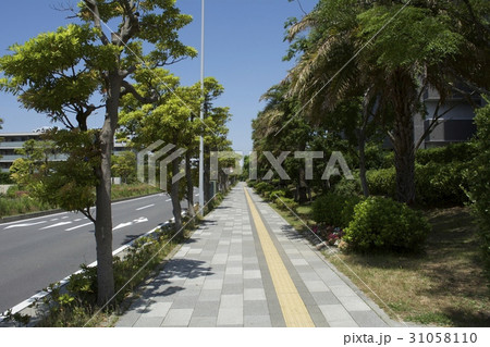 浦安市 5月 31058110