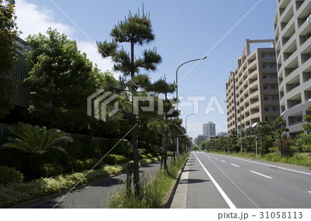 浦安市 5月 31058113