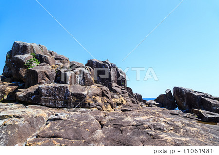 英虞崎の千畳敷 31061981