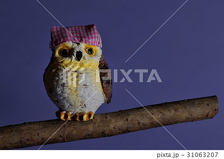フクロウさんホーホー。 フクロウさんホーホー。 31063207