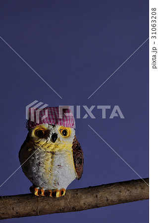 フクロウさんホーホー。 フクロウさんホーホー。 31063208