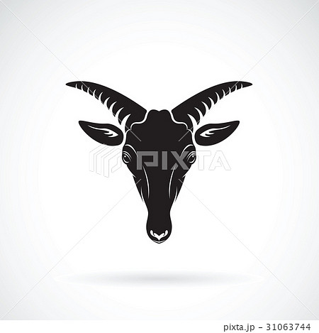 Vector of goats mountain head on white background Vector of goats mountain head on white background 31063744