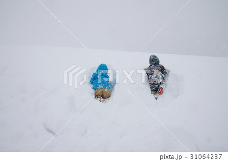 雪山をラッセルして進む人たち 雪山をラッセルして進む人たち 31064237