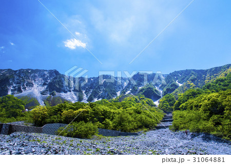 新緑と大山のパノラマ 31064881