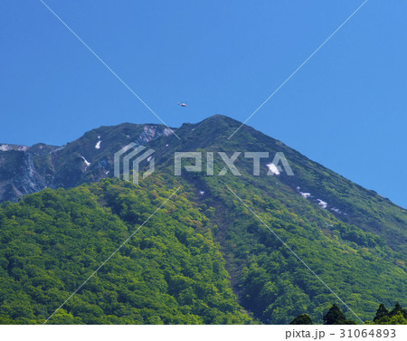 ヘリコプターと大山 31064893