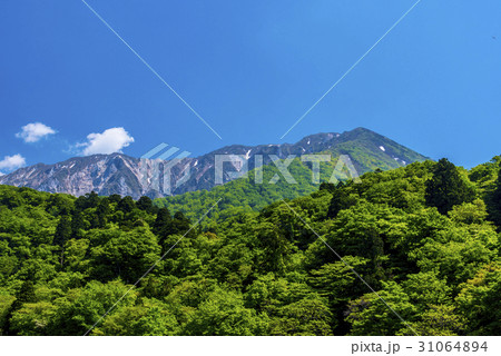 大山パノラマ 31064894