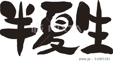 半夏生 半夏生 31065191