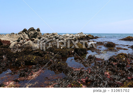 磯崎海岸の引き潮　　茨城県ひたちなか市 31065702