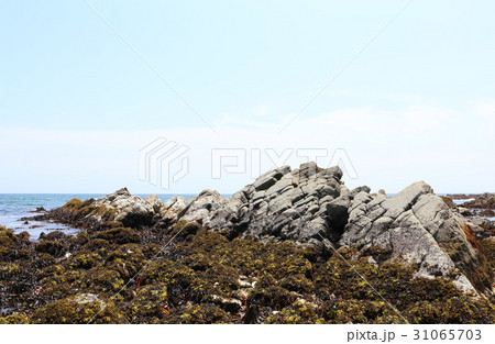 磯崎海岸　　茨城県ひたちなか市 31065703