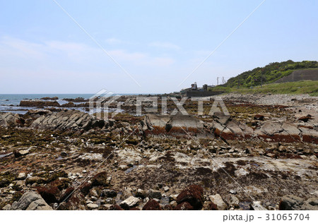 磯崎海岸の引き潮　　茨城県ひたちなか市 31065704