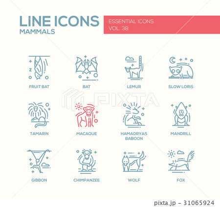 Mammals - line design icons set 31065924