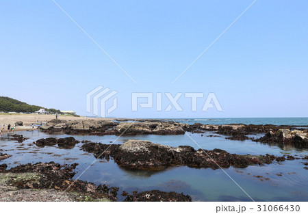 大洗海岸の引き潮 31066430