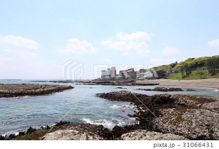 大洗海岸の引き潮 31066431