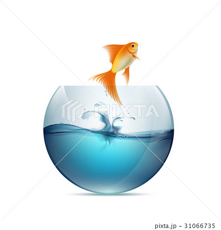 Goldfish Jumping From The Aquarium のイラスト素材